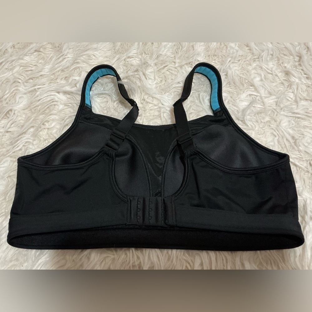 Champion Black Sports Bra with Light Blue Trim - Picture 4 of 8